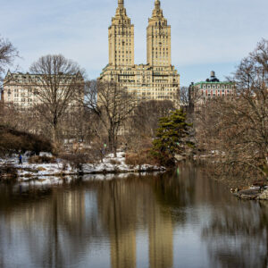 Concrete jungle by Camille Massida Photography